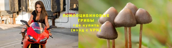 спиды Нея
