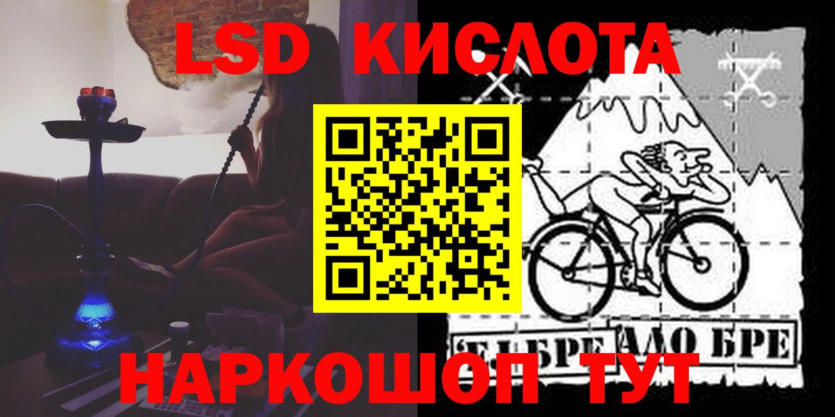 Галлюциногенные грибы Коряжма