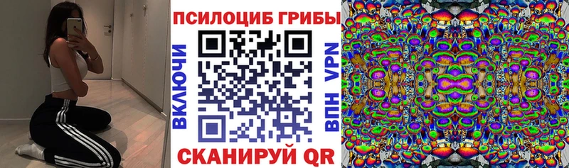 Галлюциногенные грибы Cubensis  купить закладку  Коряжма 