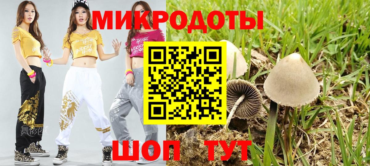 Псилоцибиновые грибы GOLDEN TEACHER Коряжма