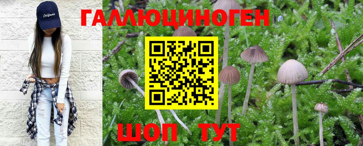 Псилоцибиновые грибы GOLDEN TEACHER  Галлюциногенные грибы Magic Shrooms  Вход с VPN  Коряжма 